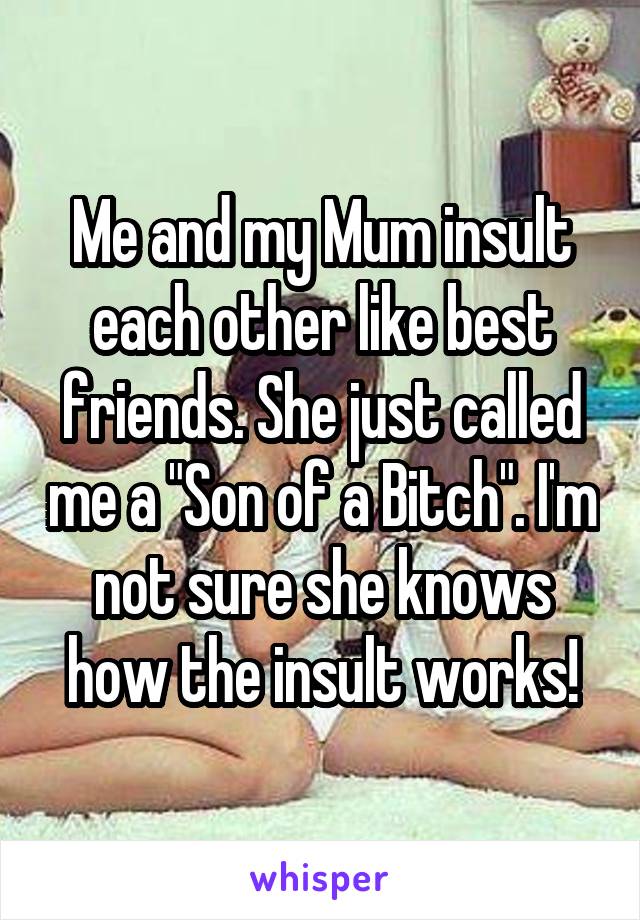 Me and my Mum insult each other like best friends. She just called me a "Son of a Bitch". I'm not sure she knows how the insult works!