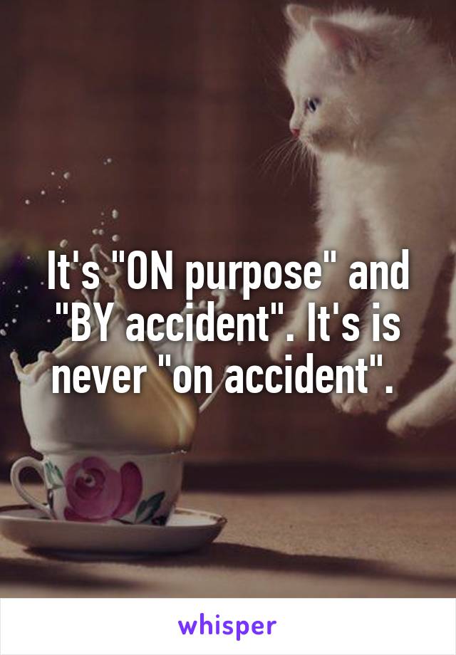 It's "ON purpose" and "BY accident". It's is never "on accident". 