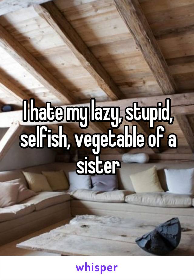 I hate my lazy, stupid, selfish, vegetable of a sister