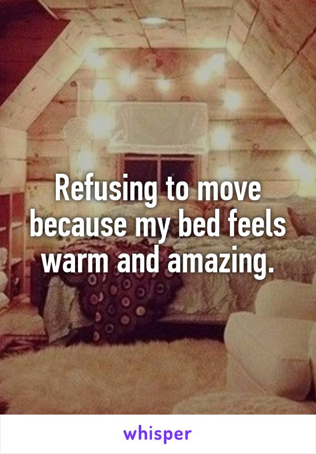 Refusing to move because my bed feels warm and amazing.