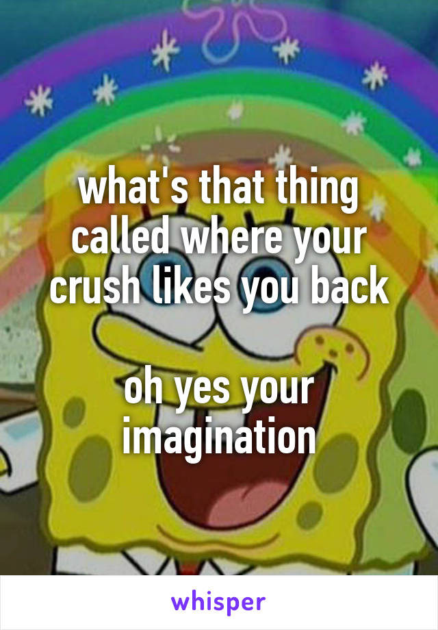 what's that thing called where your crush likes you back

oh yes your imagination