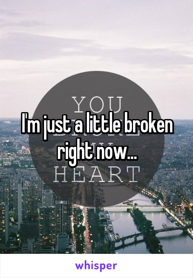 I'm just a little broken right now...