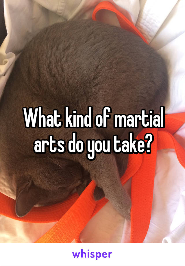 What kind of martial arts do you take?