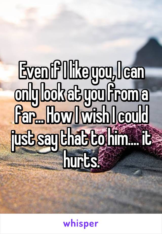 Even if I like you, I can only look at you from a far... How I wish I could just say that to him.... it hurts.