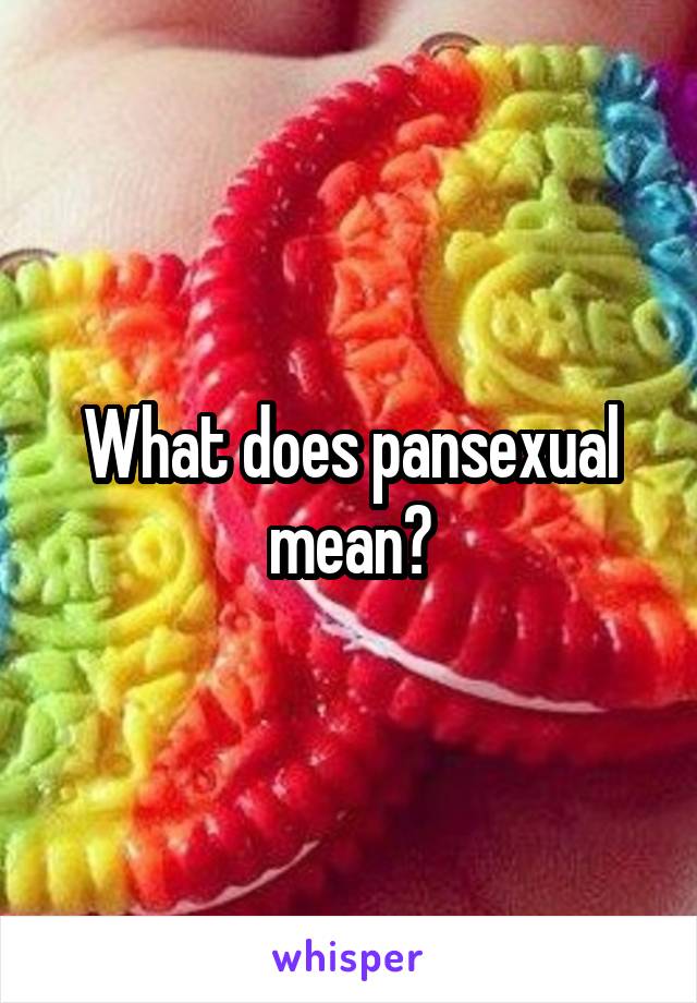 What does pansexual mean?