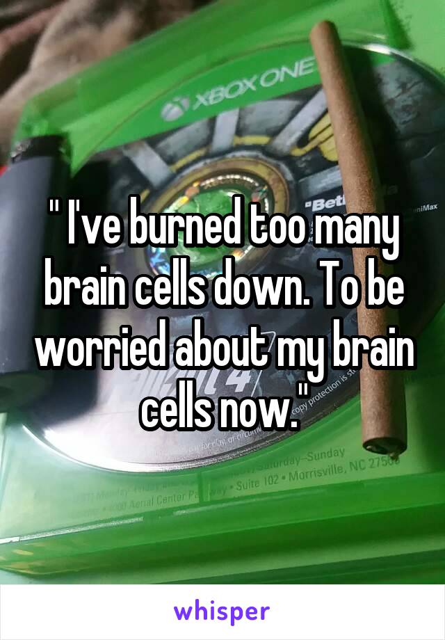 " I've burned too many brain cells down. To be worried about my brain cells now."