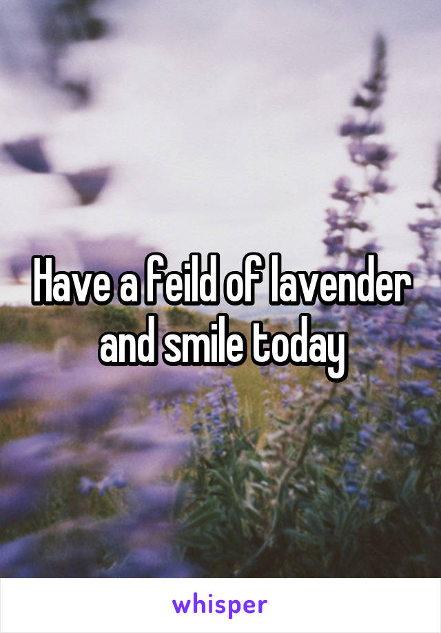 Have a feild of lavender and smile today