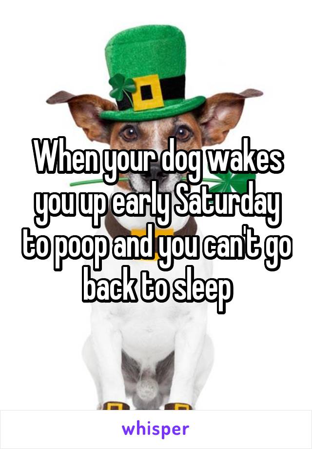 When your dog wakes you up early Saturday to poop and you can't go back to sleep