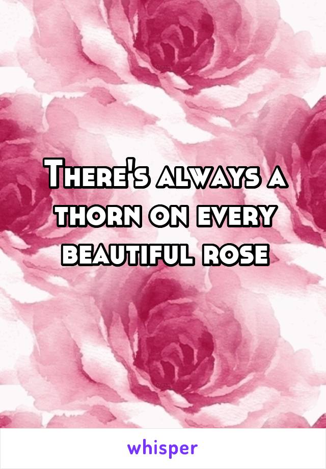 There's always a thorn on every beautiful rose
