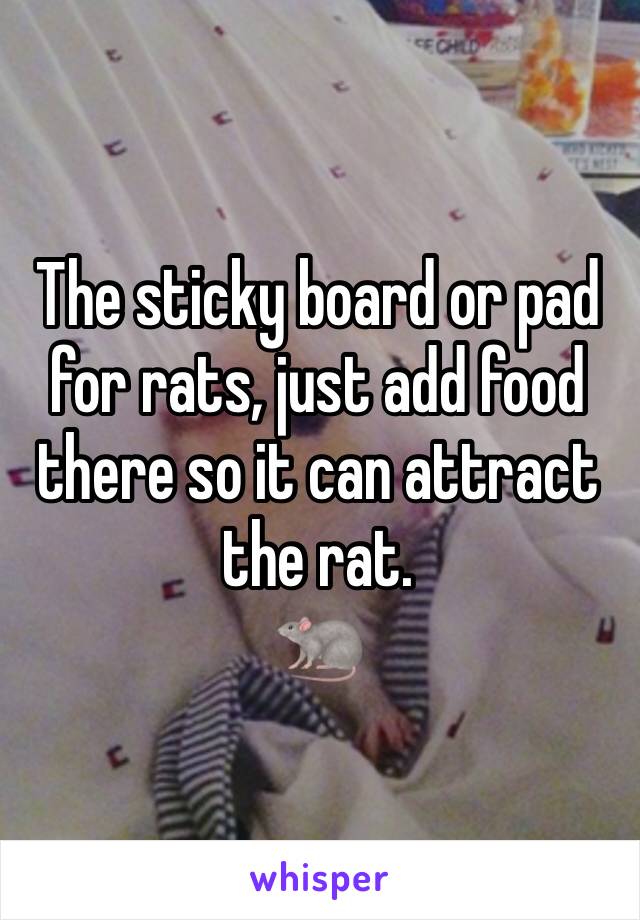 The sticky board or pad for rats, just add food there so it can attract the rat.
🐀