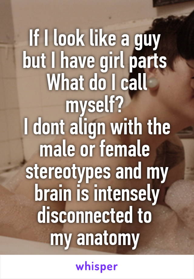 If I look like a guy 
but I have girl parts 
What do I call myself? 
I dont align with the
male or female 
stereotypes and my brain is intensely disconnected to 
my anatomy 