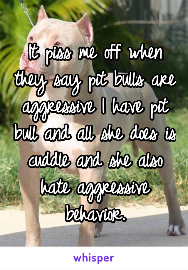 It piss me off when they say pit bulls are aggressive I have pit bull and all she does is cuddle and she also hate aggressive behavior.