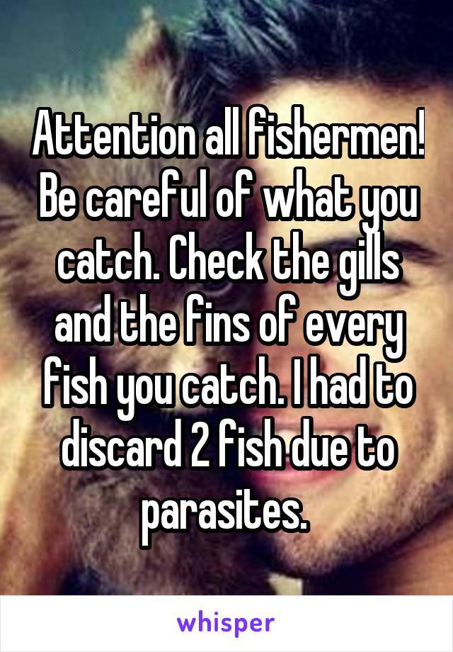 Attention all fishermen! Be careful of what you catch. Check the gills and the fins of every fish you catch. I had to discard 2 fish due to parasites. 