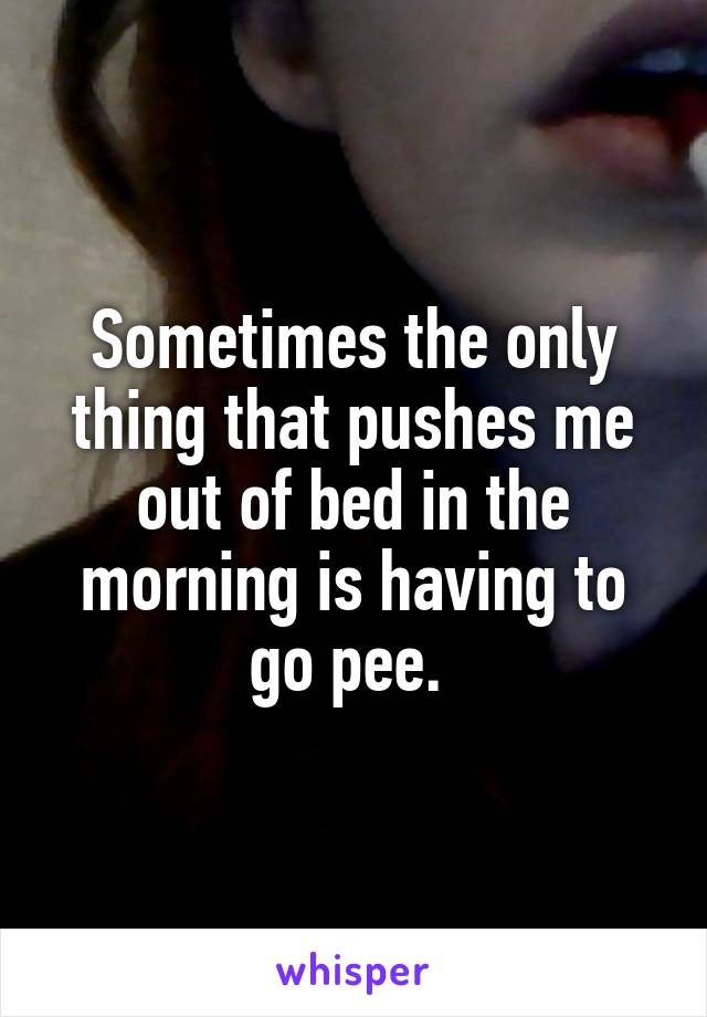 Sometimes the only thing that pushes me out of bed in the morning is having to go pee. 