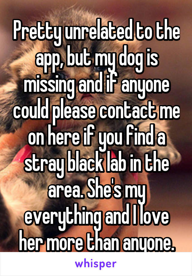 Pretty unrelated to the app, but my dog is missing and if anyone could please contact me on here if you find a stray black lab in the area. She's my everything and I love her more than anyone.