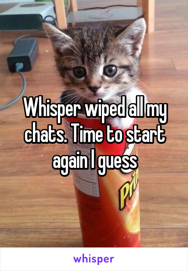 Whisper wiped all my chats. Time to start again I guess