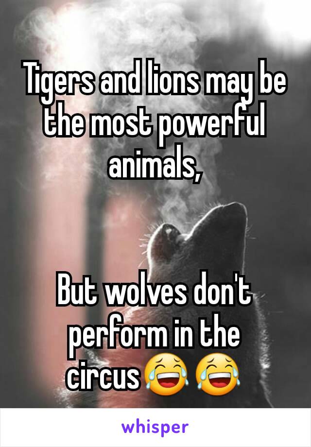 Tigers and lions may be the most powerful animals,


But wolves don't perform in the circus😂😂