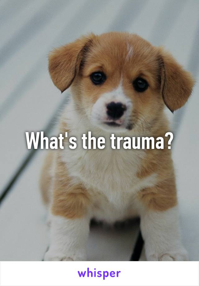 What's the trauma?