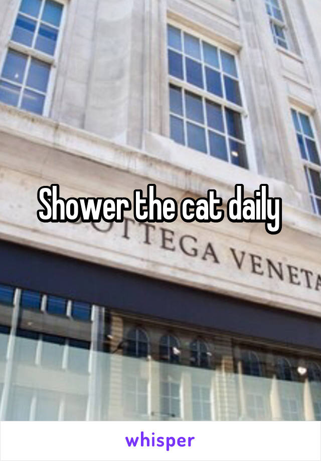 Shower the cat daily 
