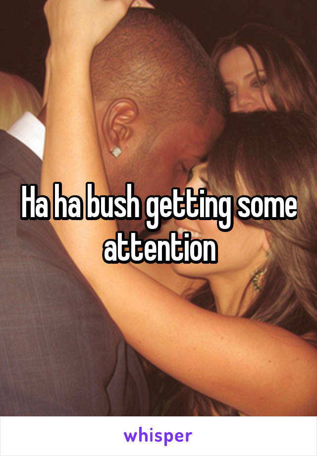 Ha ha bush getting some attention