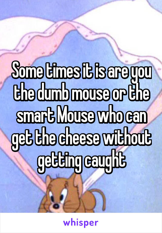 Some times it is are you the dumb mouse or the smart Mouse who can get the cheese without getting caught