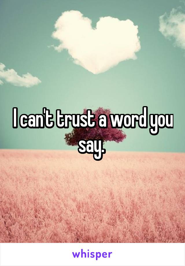 I can't trust a word you say. 