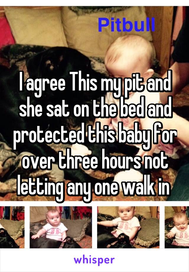 I agree This my pit and she sat on the bed and protected this baby for over three hours not letting any one walk in 