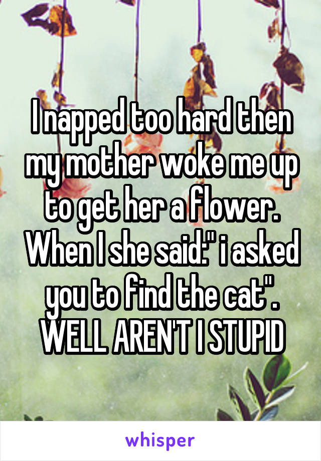 I napped too hard then my mother woke me up to get her a flower. When I she said:" i asked you to find the cat". WELL AREN'T I STUPID