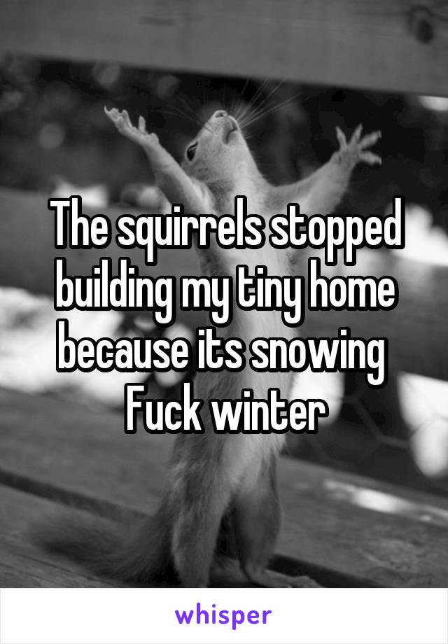 The squirrels stopped building my tiny home because its snowing 
Fuck winter