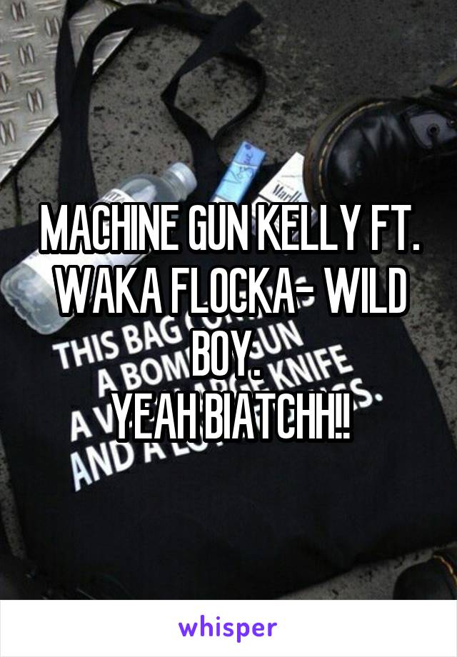 MACHINE GUN KELLY FT. WAKA FLOCKA- WILD BOY. 
YEAH BIATCHH!!