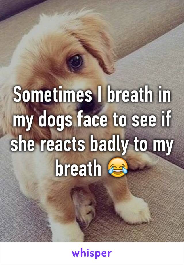 Sometimes I breath in my dogs face to see if she reacts badly to my breath 😂