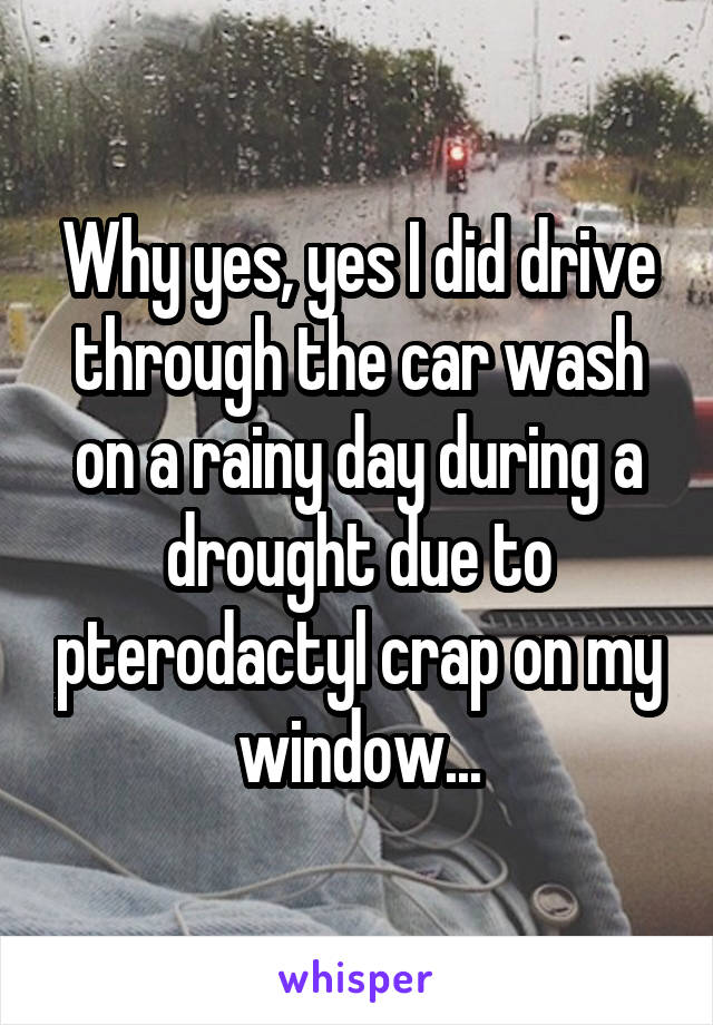 Why yes, yes I did drive through the car wash on a rainy day during a drought due to pterodactyl crap on my window...