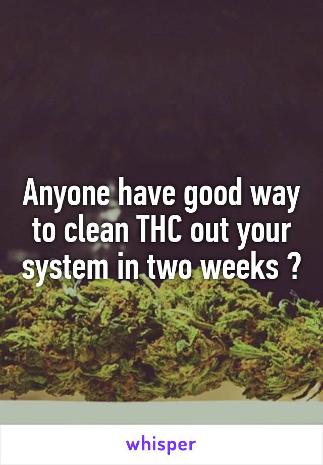 Anyone have good way to clean THC out your system in two weeks ?