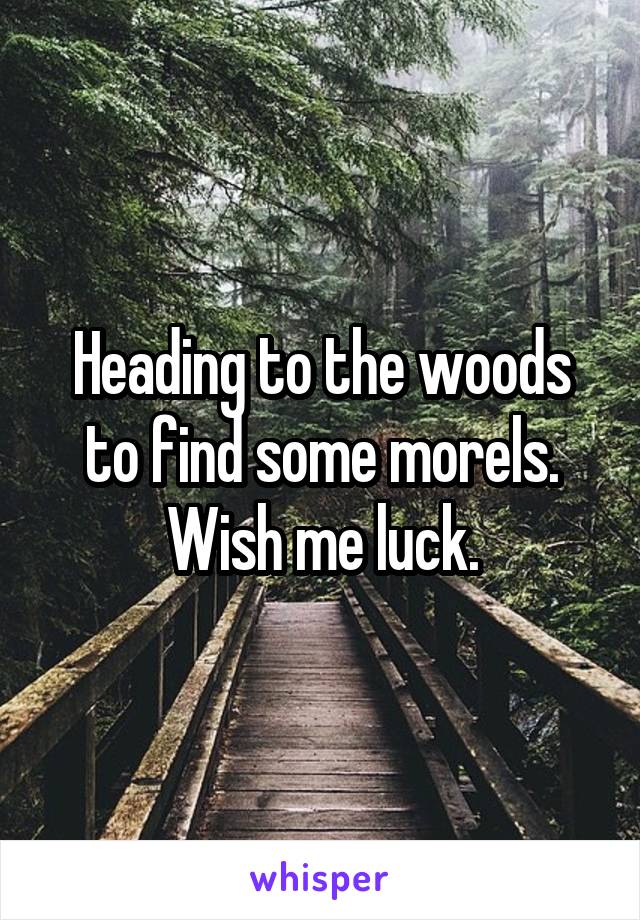 Heading to the woods to find some morels. Wish me luck.