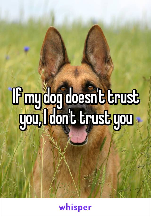 If my dog doesn't trust you, I don't trust you