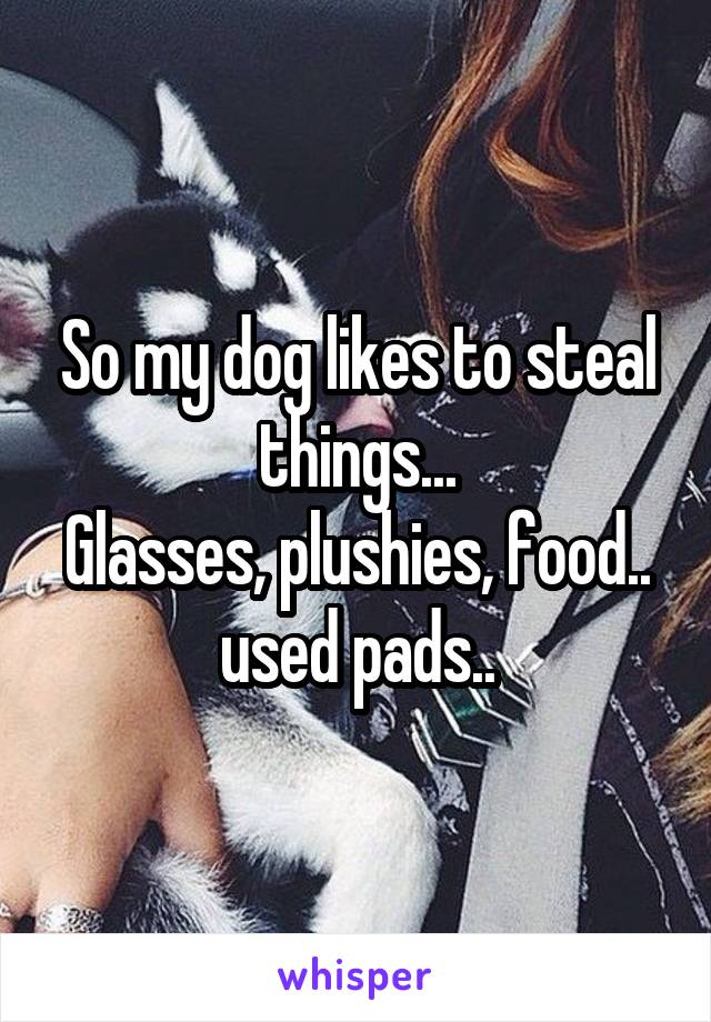 So my dog likes to steal things...
Glasses, plushies, food..
used pads..