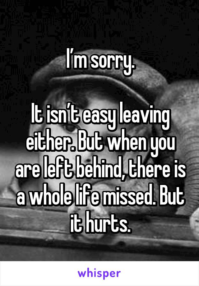 I’m sorry.

It isn’t easy leaving either. But when you are left behind, there is a whole life missed. But it hurts.