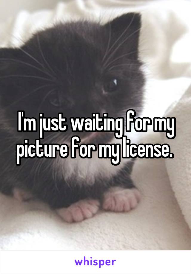 I'm just waiting for my picture for my license. 