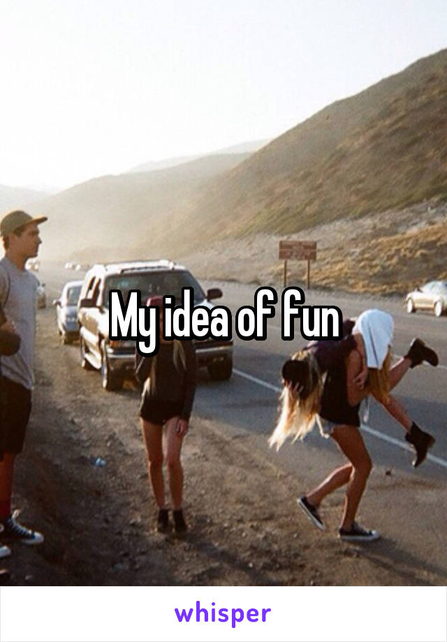 My idea of fun