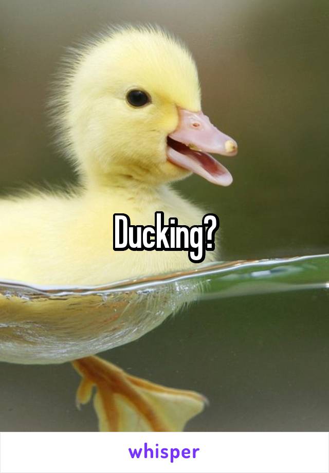 Ducking?