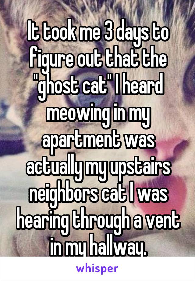 It took me 3 days to figure out that the "ghost cat" I heard meowing in my apartment was actually my upstairs neighbors cat I was hearing through a vent in my hallway.