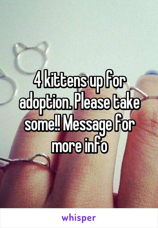 4 kittens up for adoption. Please take some!! Message for more info