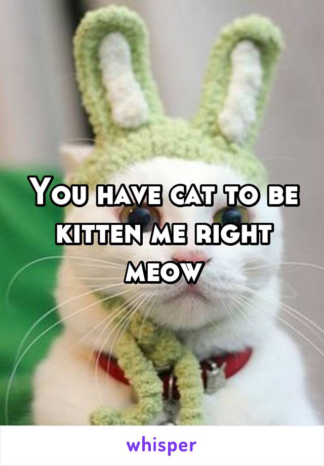 You have cat to be kitten me right meow