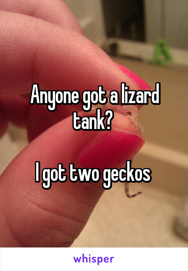 Anyone got a lizard tank? 

I got two geckos 