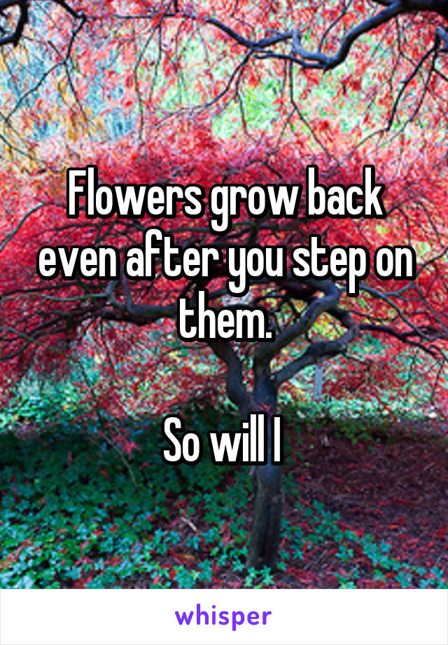 Flowers grow back even after you step on them.

So will I 