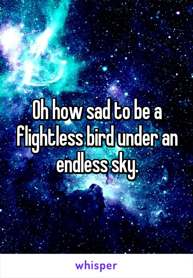 Oh how sad to be a flightless bird under an endless sky.