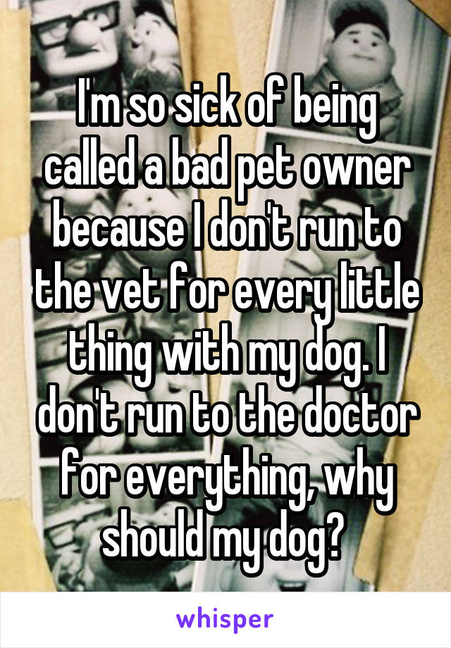 I'm so sick of being called a bad pet owner because I don't run to the vet for every little thing with my dog. I don't run to the doctor for everything, why should my dog? 