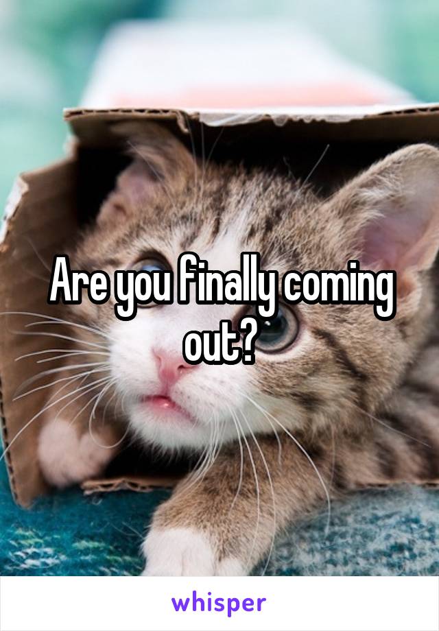 Are you finally coming out?