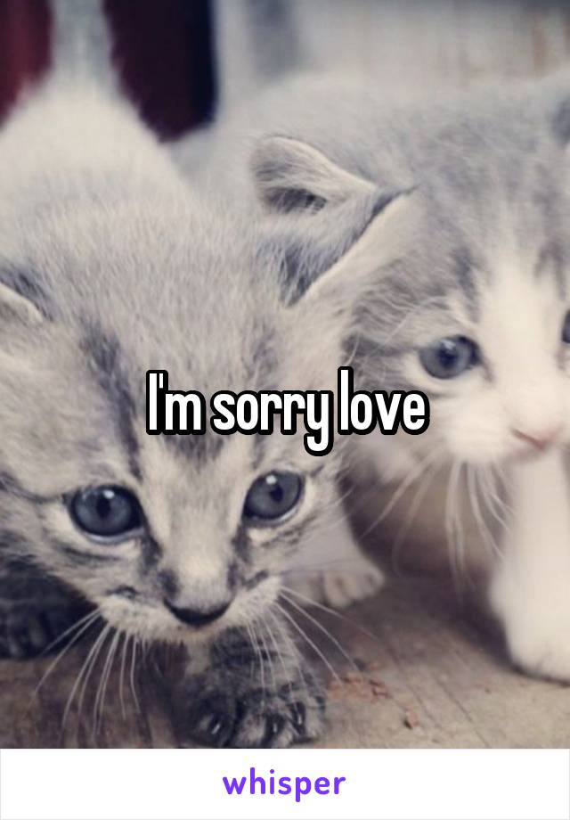 I'm sorry love