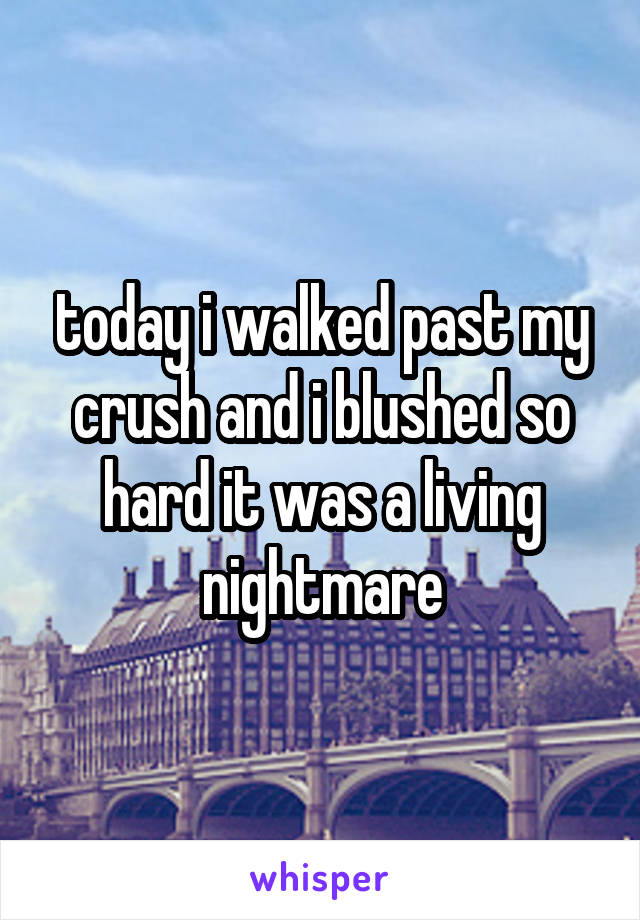 today i walked past my crush and i blushed so hard it was a living nightmare